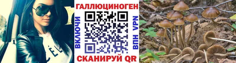 Псилоцибиновые грибы Psilocybine cubensis  что такое   Балаково 