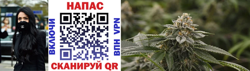 Шишки марихуана THC 21%  Балаково 